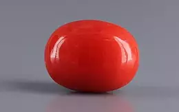 Italian Red Coral - 3.88 Carat Limited Quality CC-5823