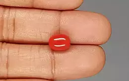 Italian Red Coral - 3.88 Carat Limited Quality CC-5823