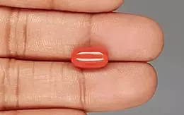 Italian Red Coral - 4.15 Carat Limited Quality CC-5826