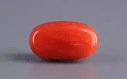 Italian Red Coral - 4.15 Carat Limited Quality CC-5826