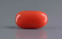 Italian Red Coral - 4.56 Carat Limited Quality CC-5828