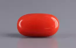Italian Red Coral - 5.09 Carat Rare Quality CC-5830