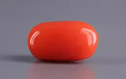 Italian Red Coral - 4.17 Carat Limited Quality CC-5842