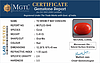 certificate_imageCC-5849-65120.jpg