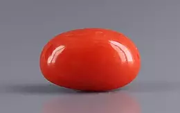 Italian Red Coral - 5.12 Carat Rare Quality CC-5852