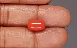 Italian Red Coral - 5.37 Carat Limited Quality CC-5865