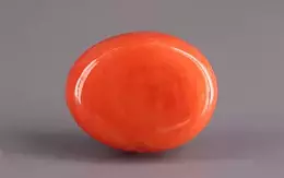 Italian Red Coral - 13.66 Carat Rare Quality CC-5869