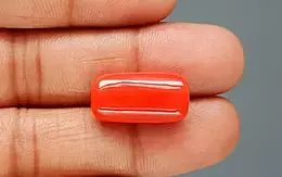 Italian Red Coral - 17.69 Carat Limited Quality CC-5879