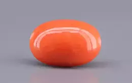 Japanese Red Coral - 6.66 Carat Rare Quality CC-5884