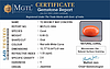 certificate_imageCC-5884-81670.jpg
