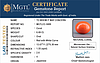 certificate_imageCC-5889-95294.jpg