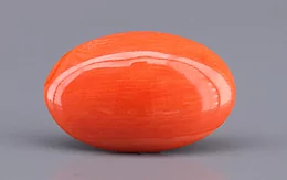 Japanese Red Coral - 5.08 Carat Rare Quality CC-5894