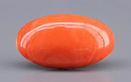 Japanese Red Coral - 8.14 Carat Rare Quality CC-5895