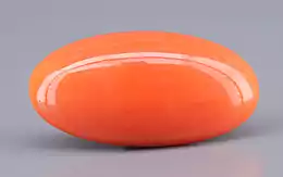 Japanese Red Coral - 9.97 Carat Rare Quality CC-5898