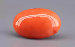 Japanese Red Coral - 13.22 Carat Rare Quality CC-5899