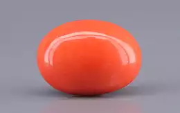 Japanese Red Coral - 5.42 Carat Rare Quality CC-5901
