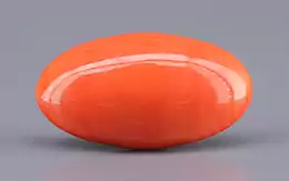 Japanese Red Coral - 10.90 Carat Rare Quality CC-5903