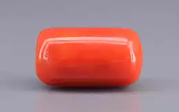 Italian Red Coral - 16.25 Carat Limited Quality CC-5919
