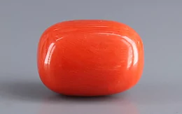 Italian Red Coral - 18.48 Carat Limited Quality CC-5941