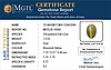 certificate_imageCE-10505-31808.JPG