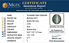 certificate_imageCE-10571-19454.JPG