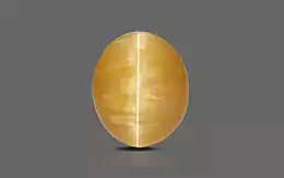 Cat's Eye - 2.93 Carat Fine Quality CE-10584