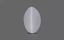 Ceylon Cat's Eye - 1.83 Carat Prime Quality CE-10602