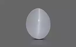 Ceylon Cat's Eye - 3.37 Carat Prime Quality CE-10612