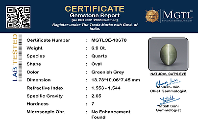 certificate_imageMGTLCE-10678_1720435931.png