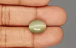 Cat's Eye - 6.16 Carat Prime Quality CE-10682