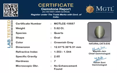 certificate_imageMGTLCE-10687_1720436199.png