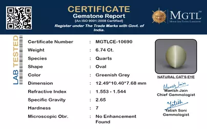 certificate_imageMGTLCE-10690_1720436219.png
