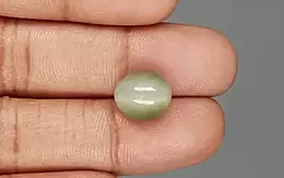 Cat's Eye - 7.2 Carat Prime Quality CE-10692