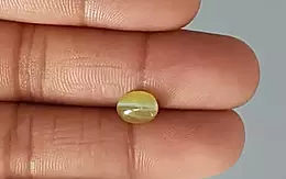 Ceylon Cat's Eye - 3.02 Carat Rare Quality CE-10712