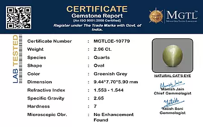 certificate_imageMGTLCE-10779_1720687126.png
