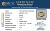 cit-11551-1700031210.jpg