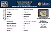 certificate_imageMGTLCYS-3998-76381.png