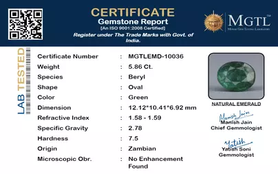 certificate_imageMGTLEMD-10036_1718865539.png