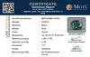 certificate_imageMGTLEMD-10036_1718865539.png