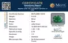 certificate_imageMGTLEMD-10038_1718865726.png