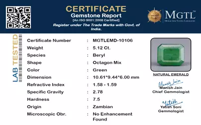 certificate_imageMGTLEMD-10106_1718882214.png