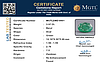certificate_imageMGTLEMD-9961_1726297731.png