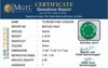 go-13042-356176700.jpg