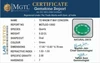 go-13082-1744817836.jpg