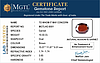 certificate_imageHG-8001-10636.JPG