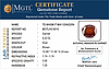 certificate_imageHG-8016-51632.JPG