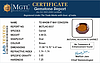 certificate_imageHG-8037-43650.JPG