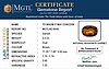 certificate_imageHG-8046-65321.JPG
