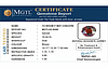 certificate_imageHG-8088-79062.JPG