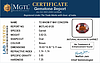 certificate_imageHG-8120-15618.JPG